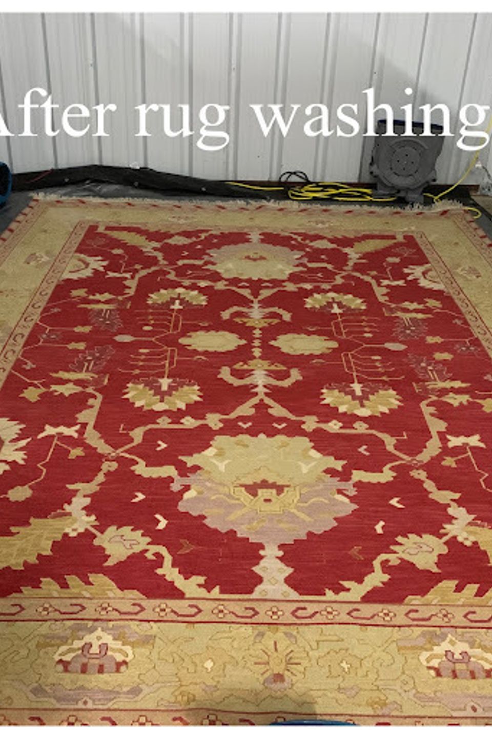 Rug2