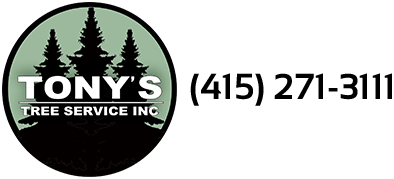 Tony's Tree Service