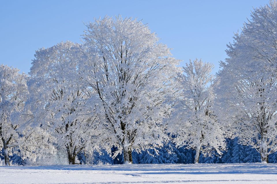 Winter g57c1693df 1920