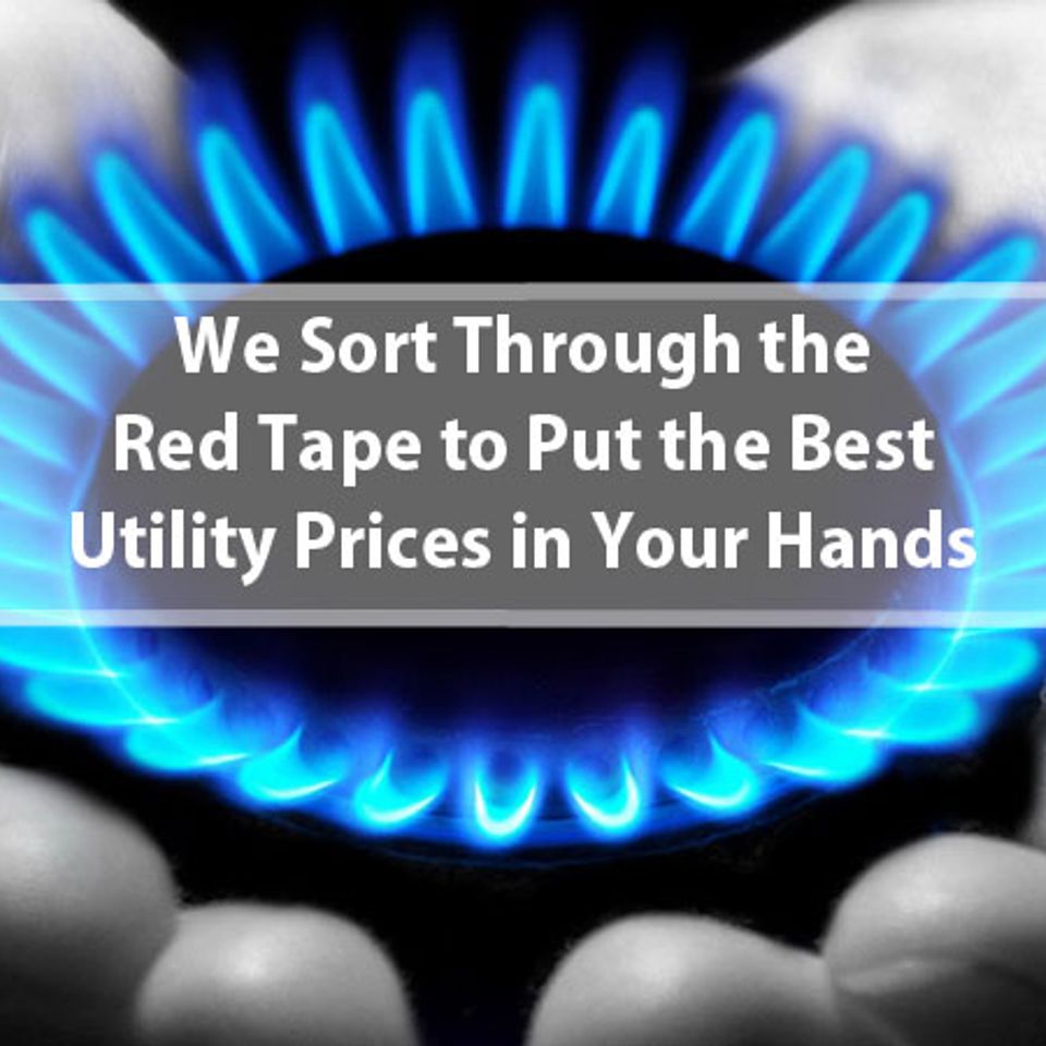 Natural gas suppliers