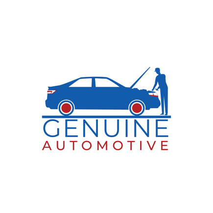 Genuine automotive (1)