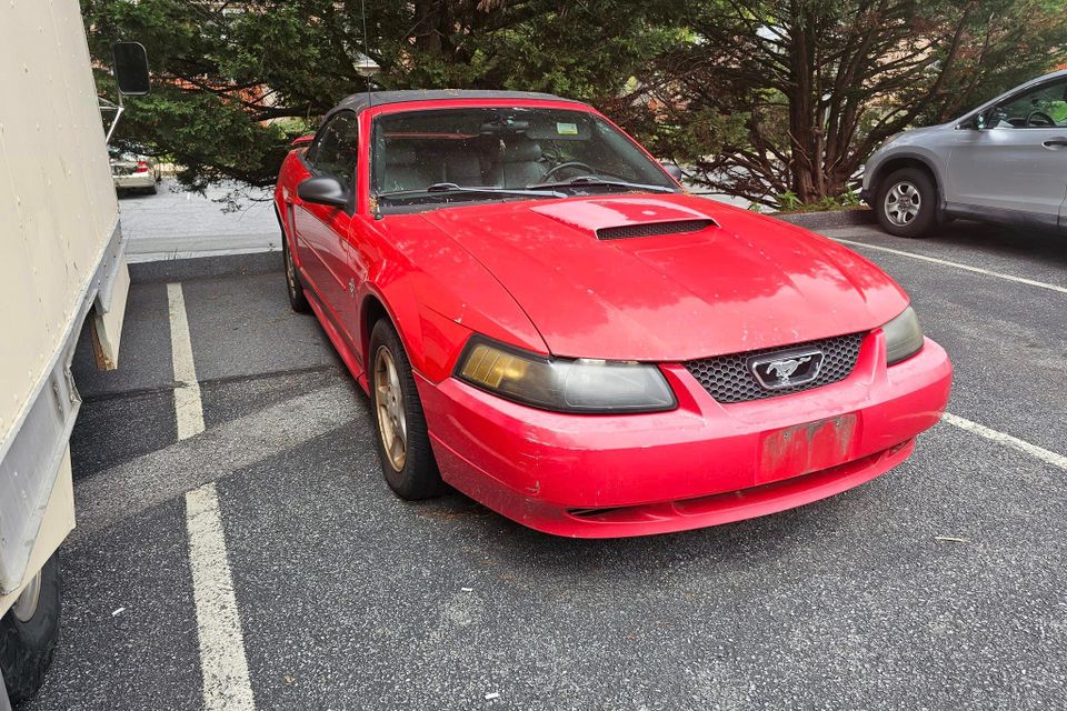 Ford mustang