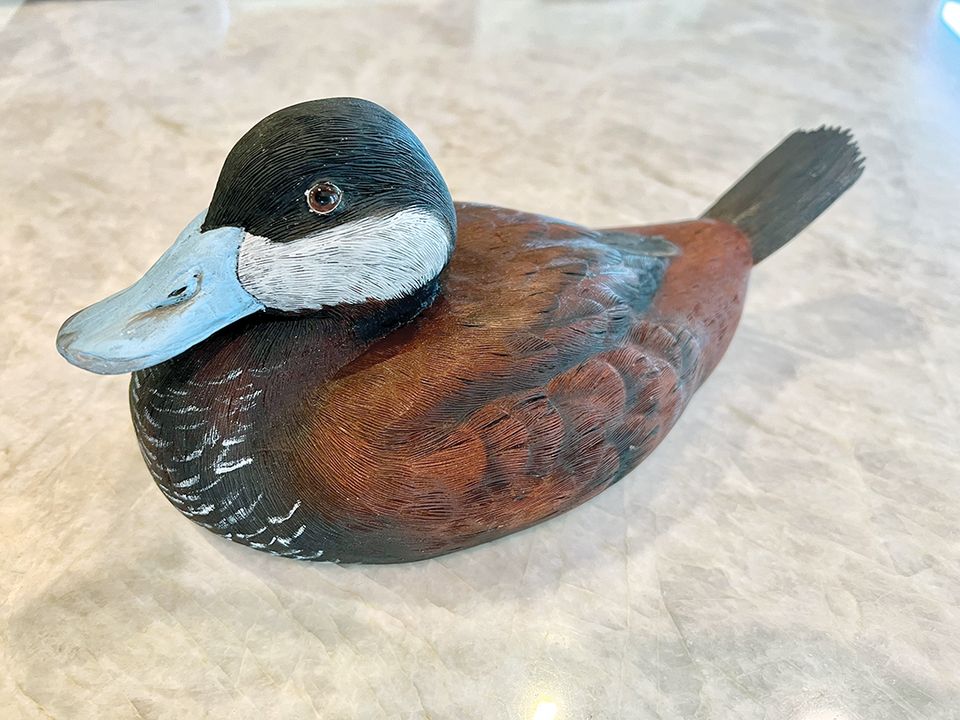 Duck