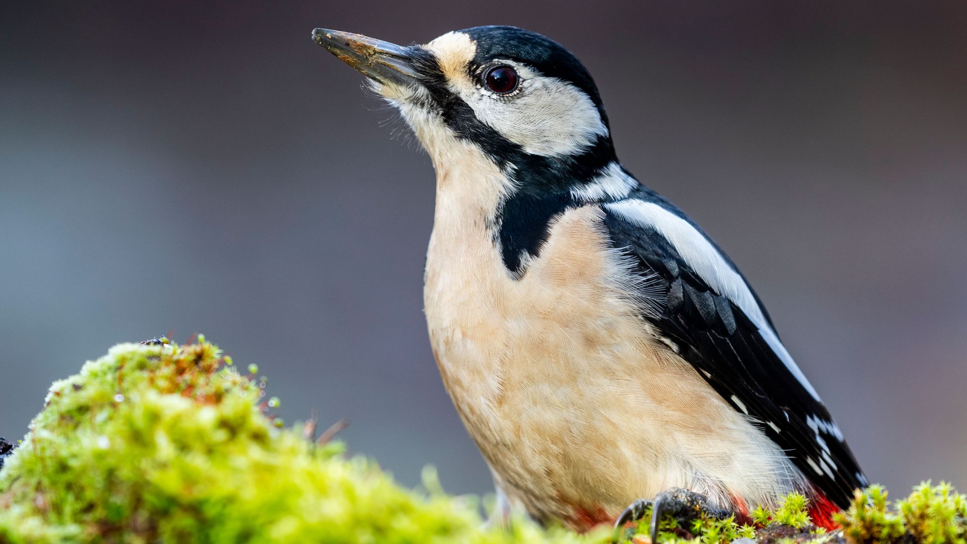 Holy Trinity Behavioral Health