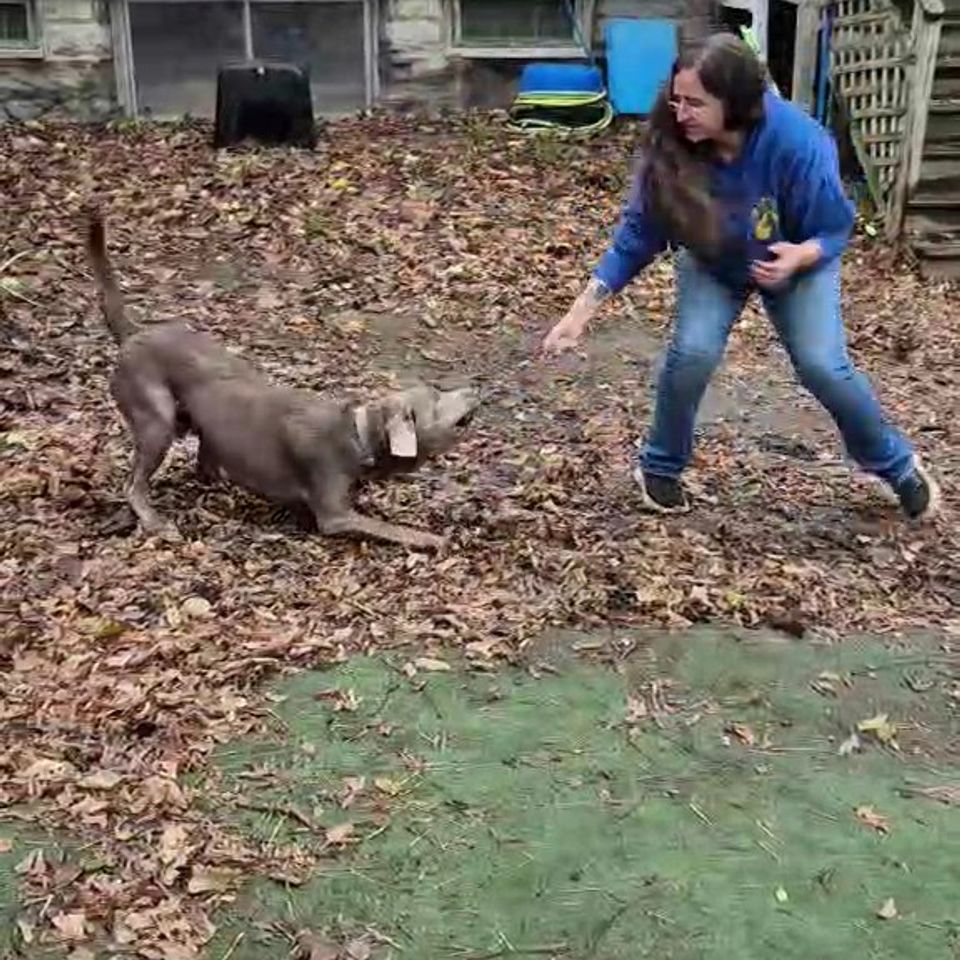 Messenger creation efc5b858 a3cc 4edf ac0f 942712c9aabd exported 12866