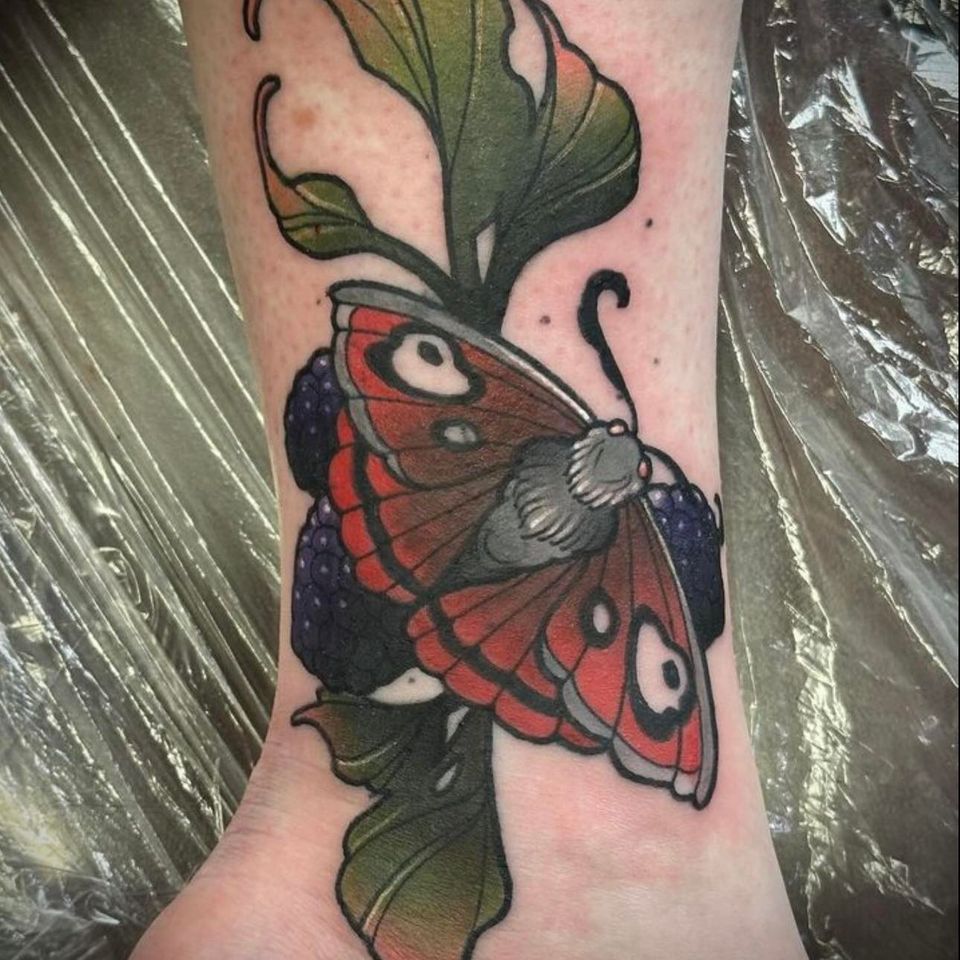 528677238 1083411003905530 5710119952903144593 n