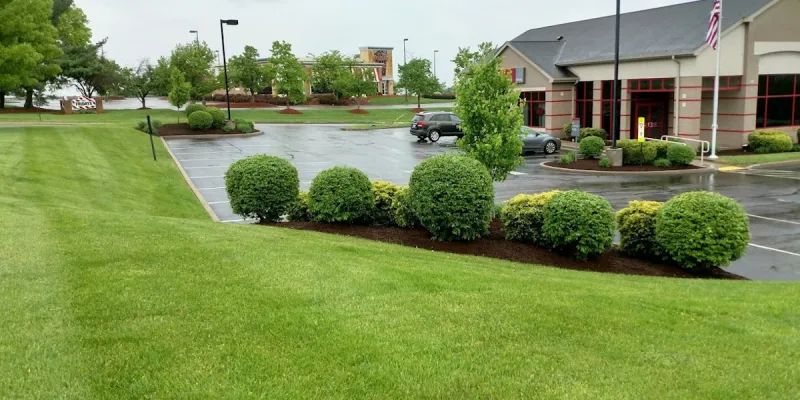 Commercial lawn care columbia sc.jpg