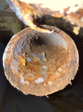 Screen shot 2026 02 27 at 12.12.43 pm