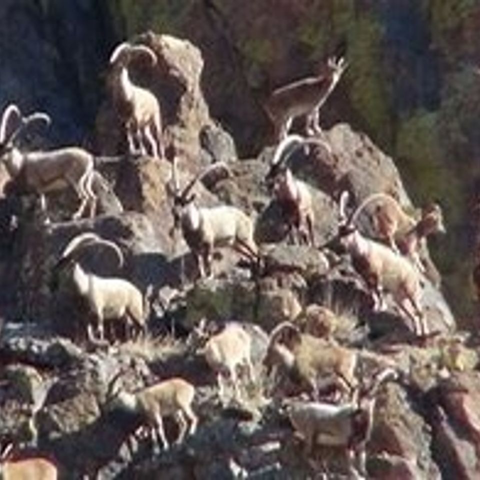 Image1 (2)