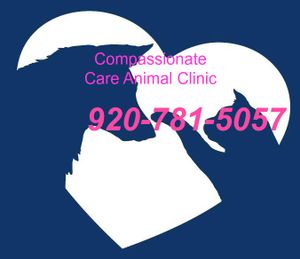 Compassionate care