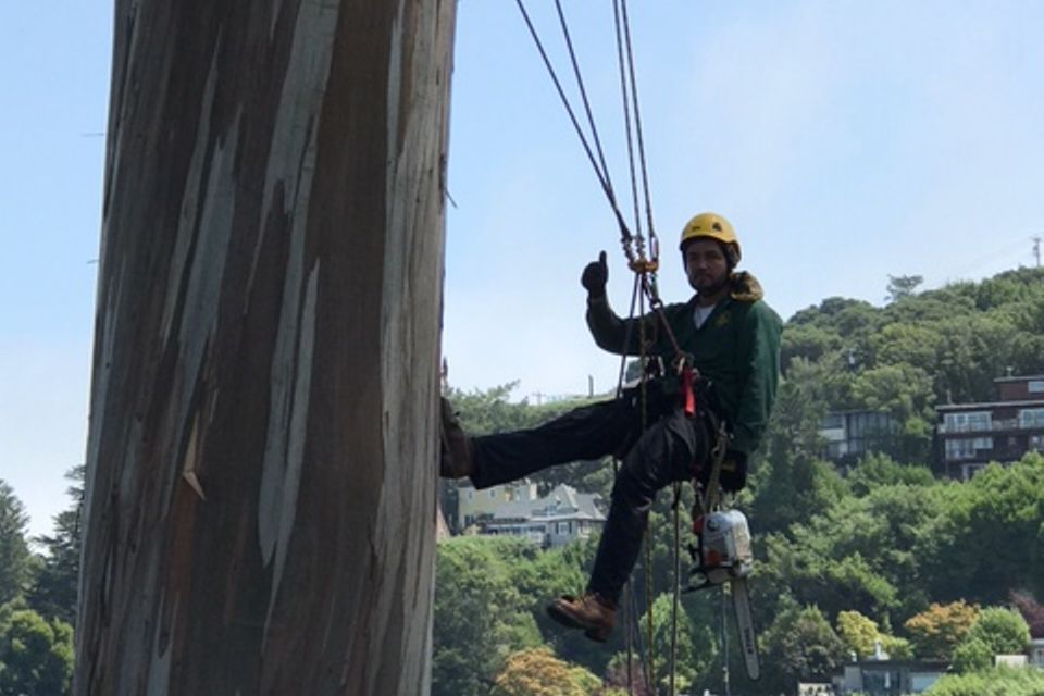 12ab1f05 d122 4ff8 8c7c 43e02e06e8f8.jpg