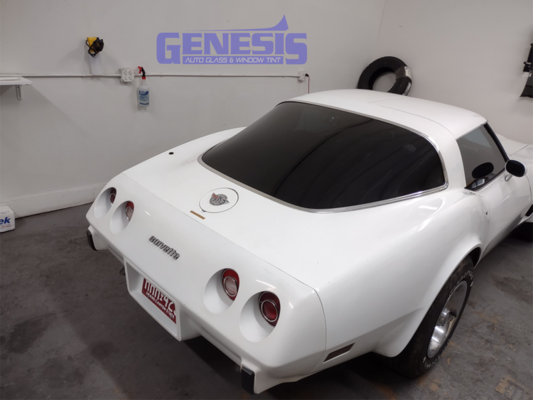 Genesis vette back