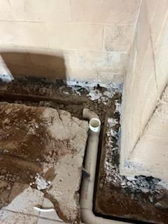 Img 1455