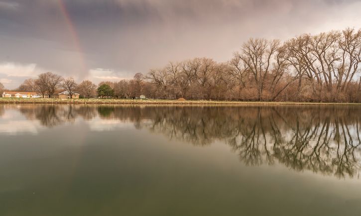 Hatchery pond rainbow april 2018