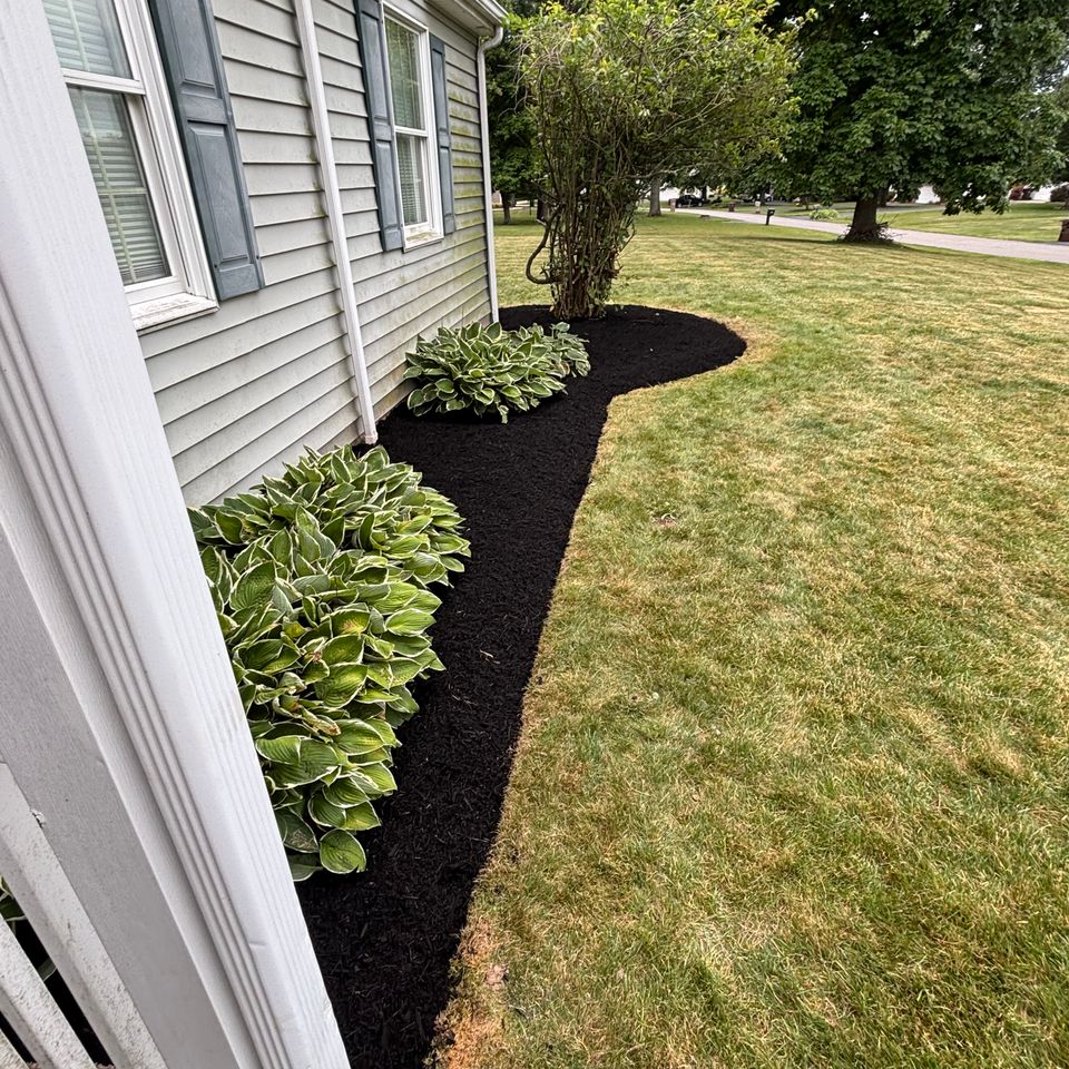 Foundation landscape with fresh black mulch, hostas, shrubs, and decorative plants bordering the front porch of a home.