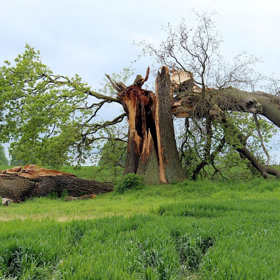 Storm damage g990b17dbc 1920