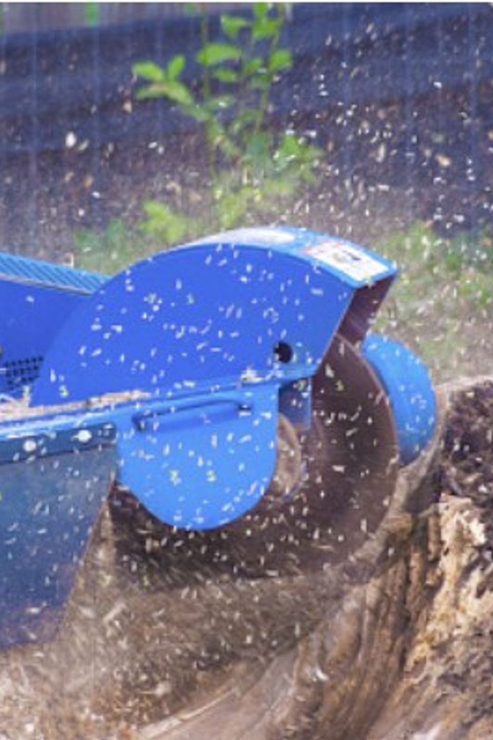 tree stump grinding folsom