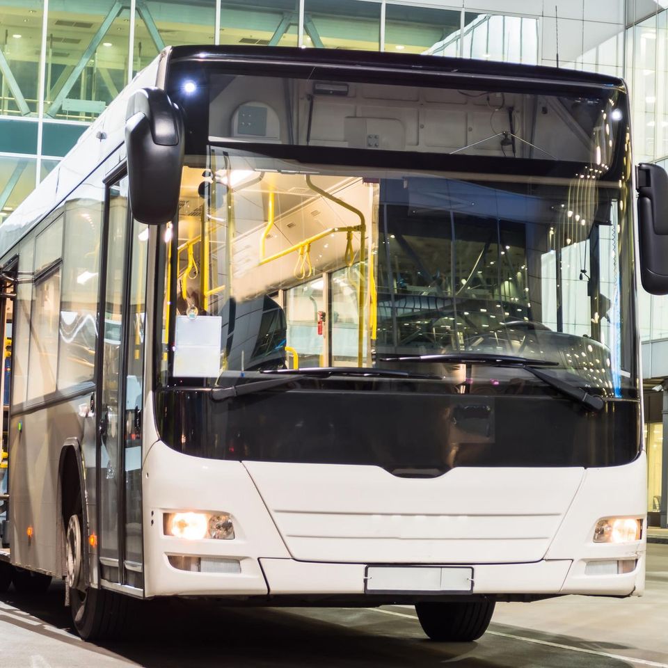 Buses