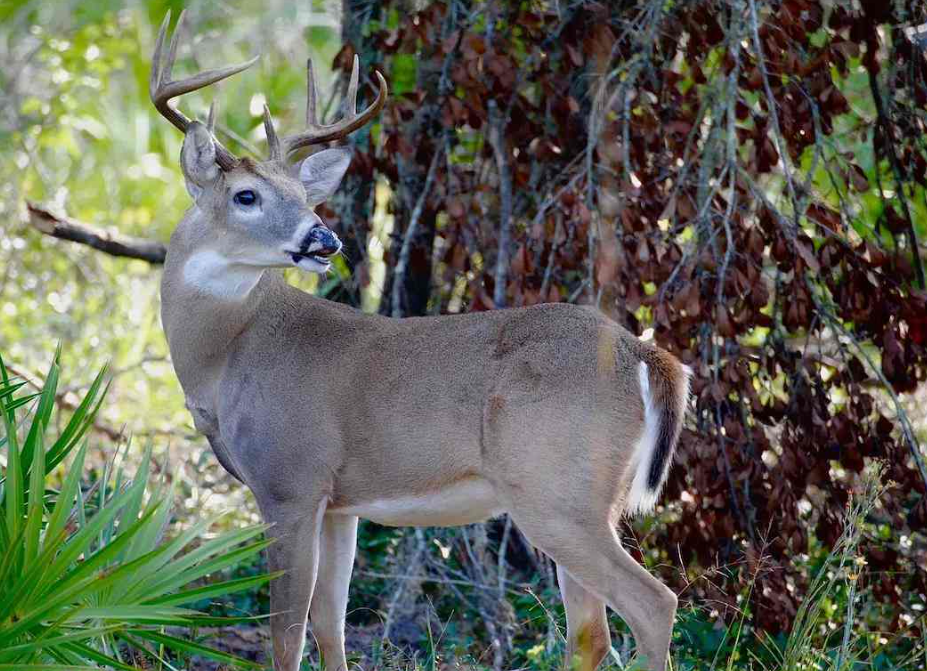 Screenshot 2026 02 23 at 11.06.57 am