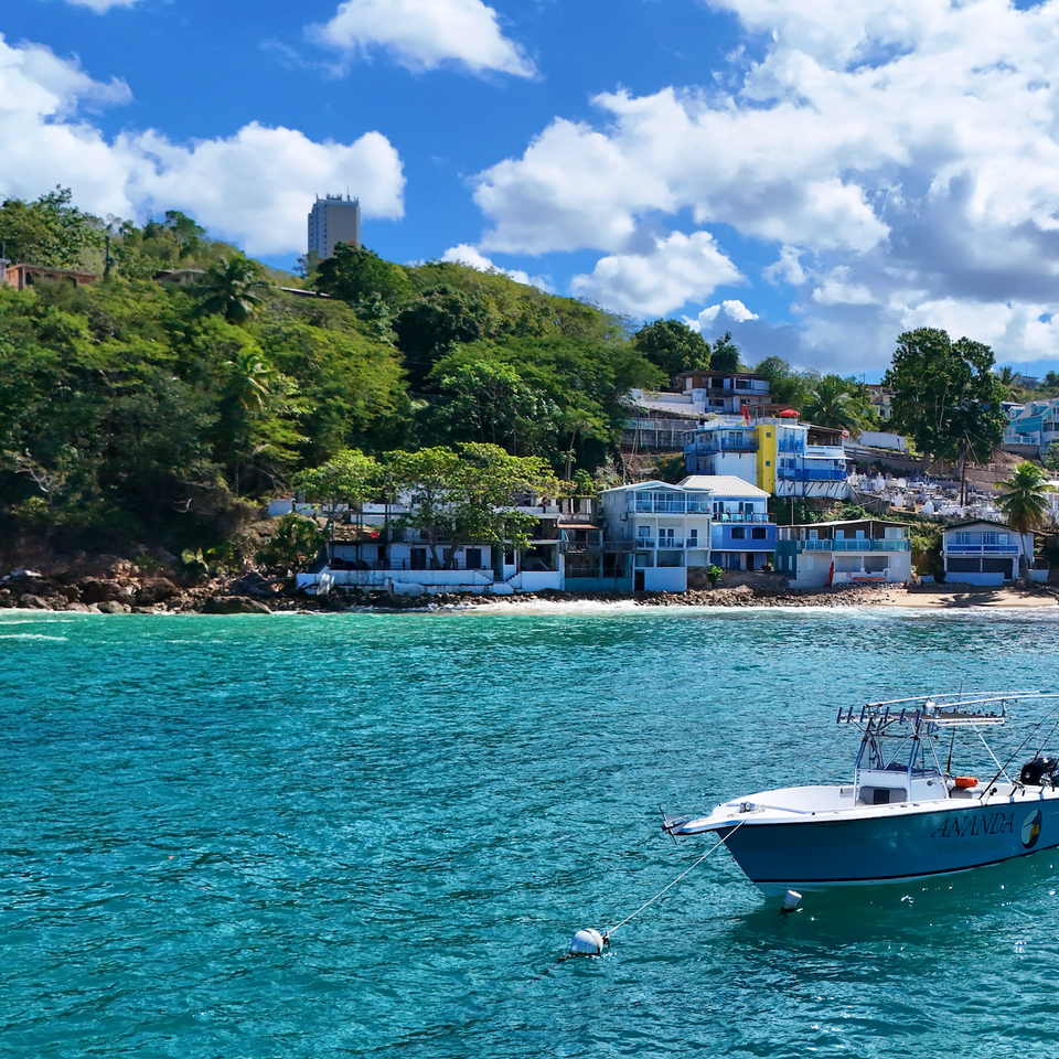 Screenshot 2026 02 03 at 10.58.40 am