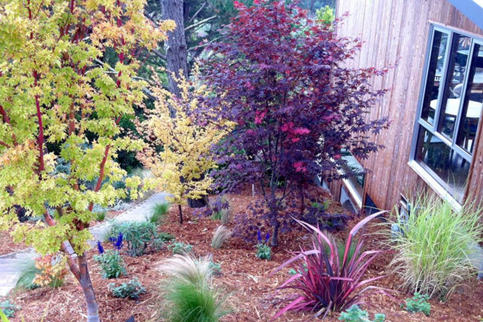 Sorcher residence 07