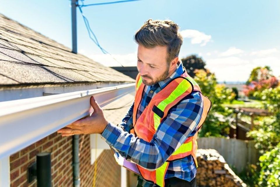 Bd92554f a9ab 413f 9675 1cfa5642b43d