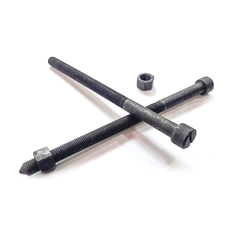 King bolt   nut spring