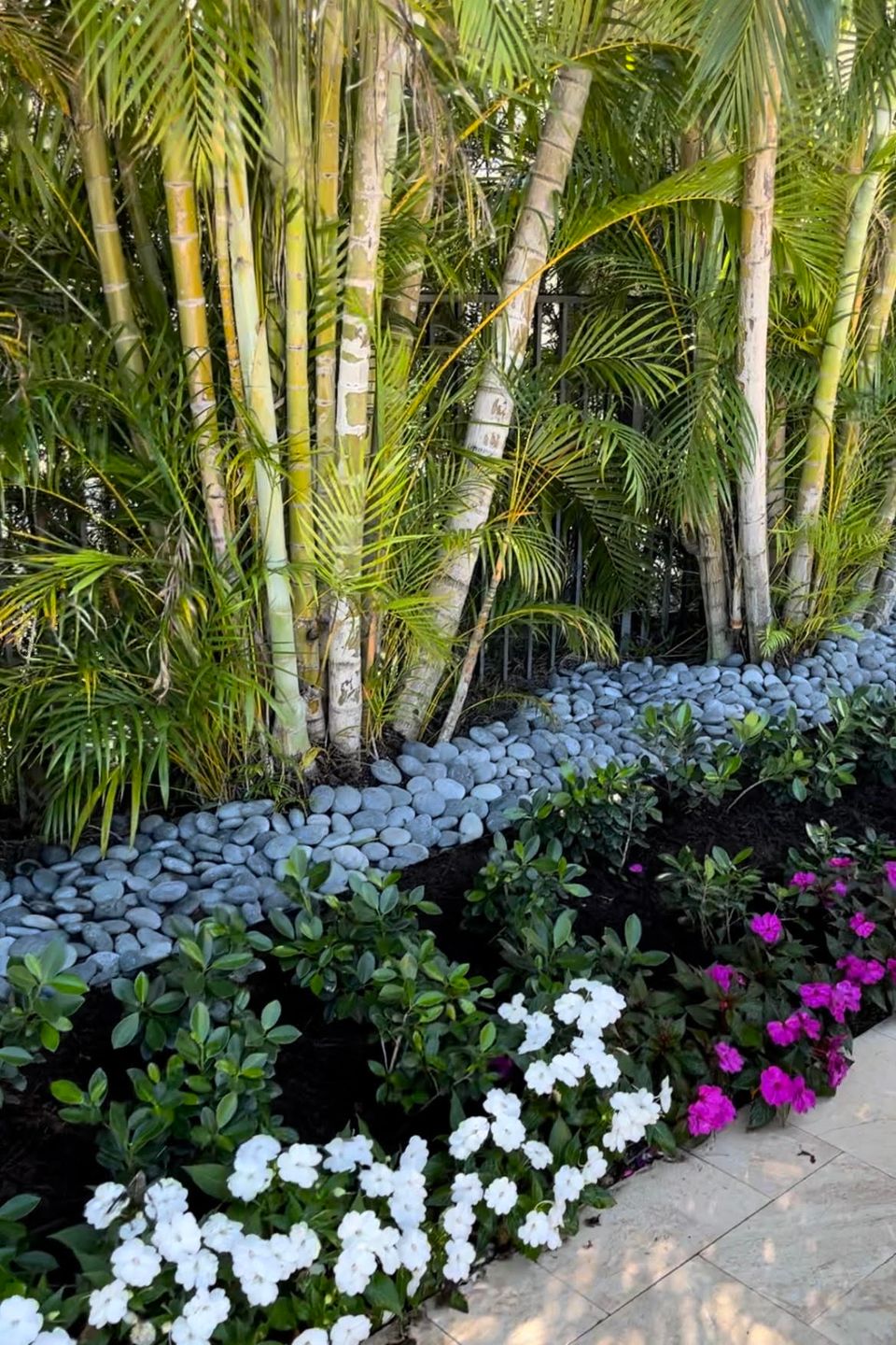 Close up rock trees palms landcaping