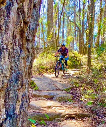 Screenshot 2025 10 17 115144