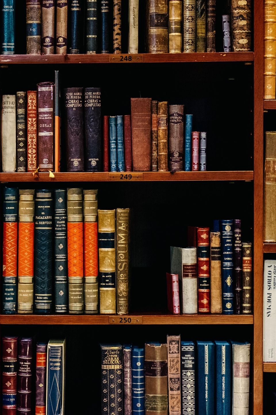 books on shelves 