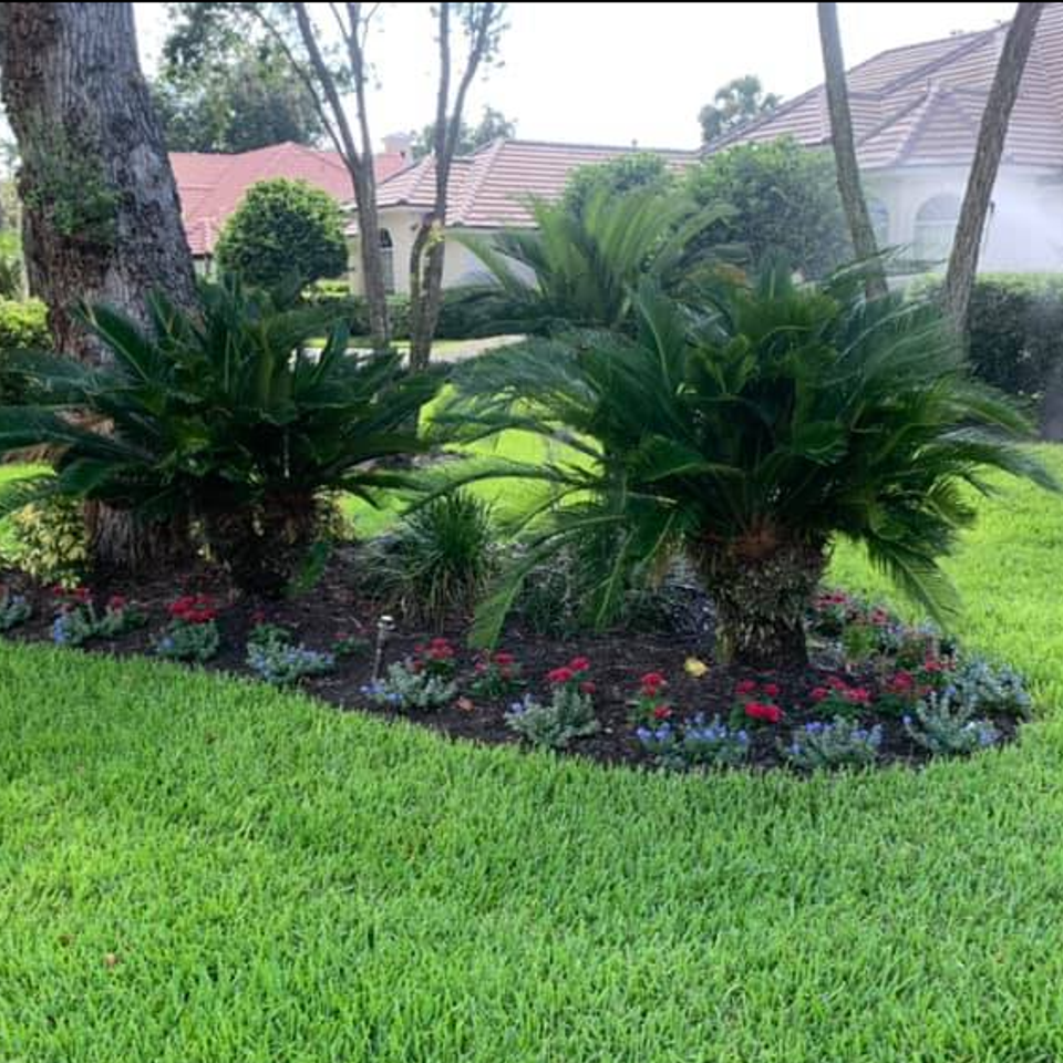 Screenshot 2025 10 20 082049