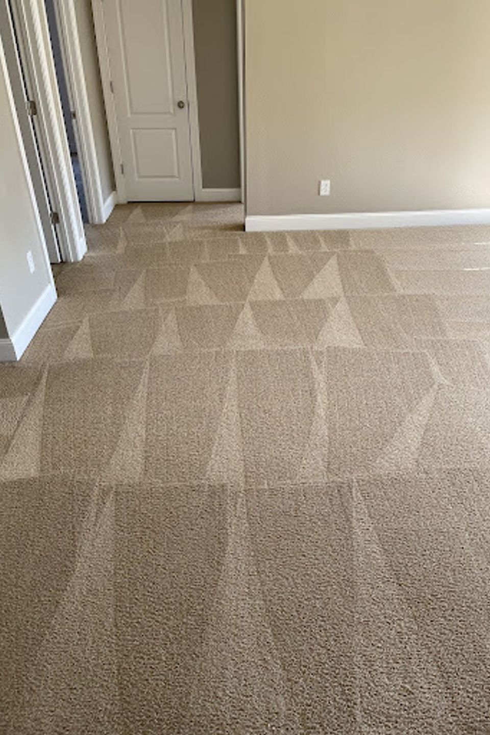 Carpet16