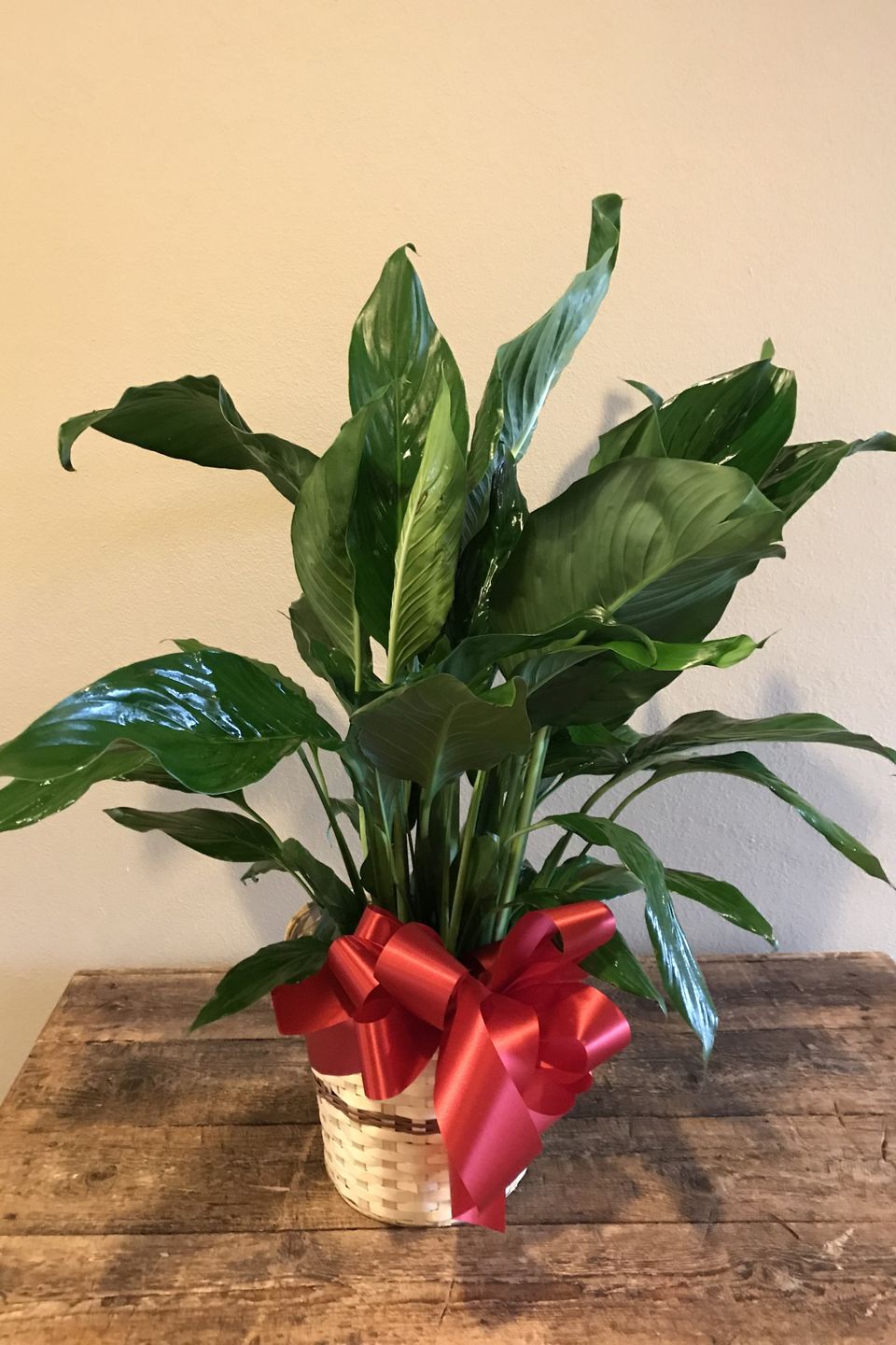 Img 231120180226 10022 19v9k3y