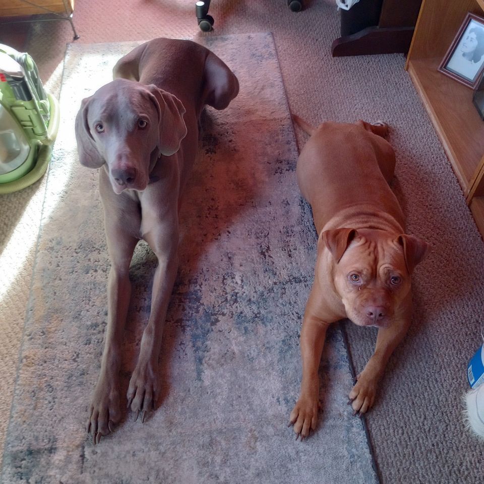 Img 20231215 103042186 hdr