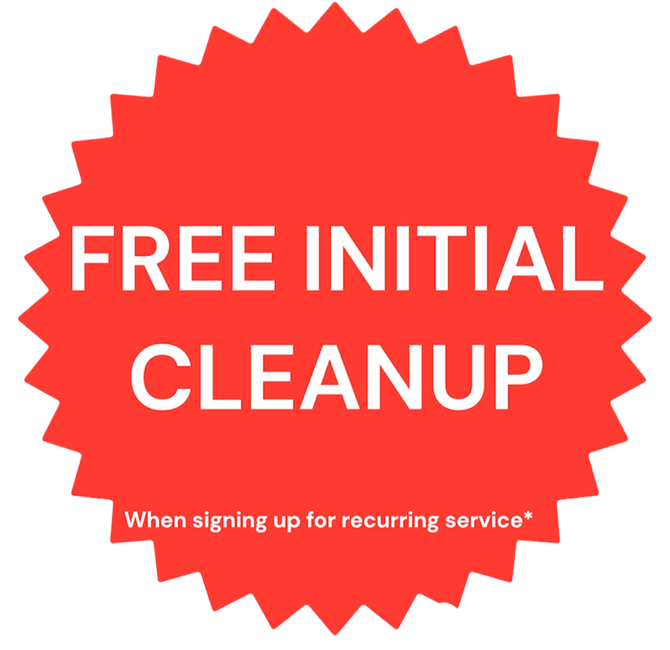 Photoroom 20260219 224616