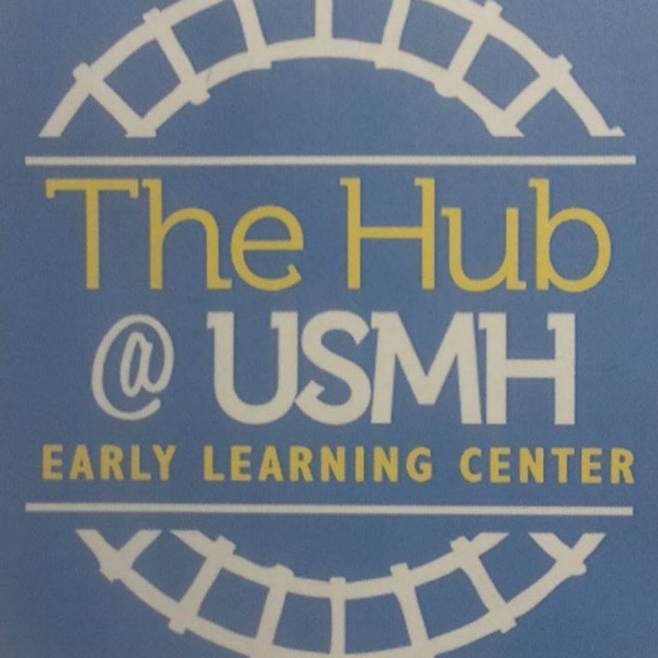 The hub usmh logo