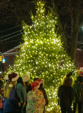 Tree lighting au ad