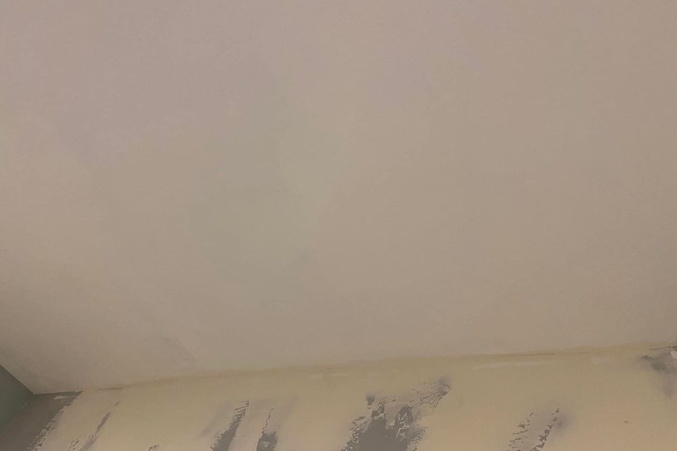 Ceiling repair after