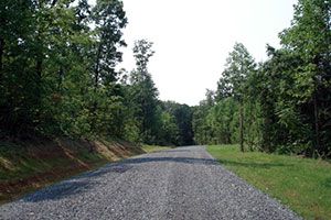 Buildinglots photo c