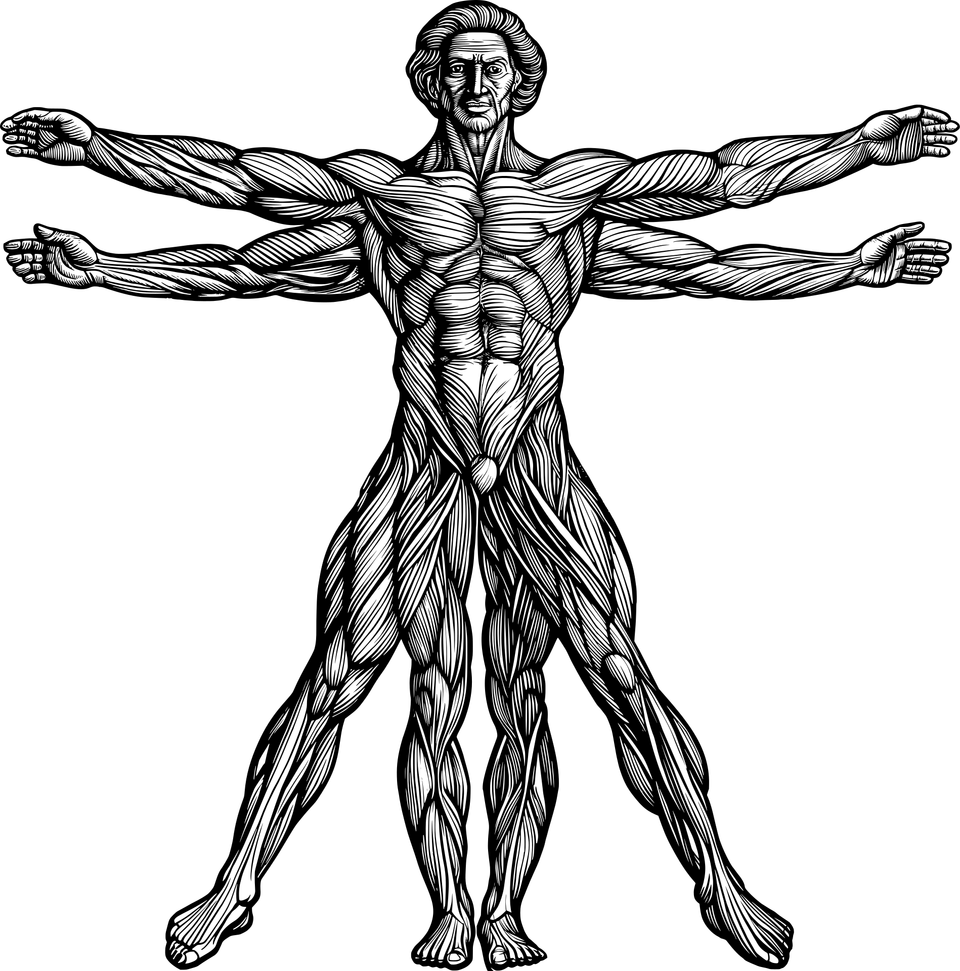 Vitruvian man gb06b9f787 1920