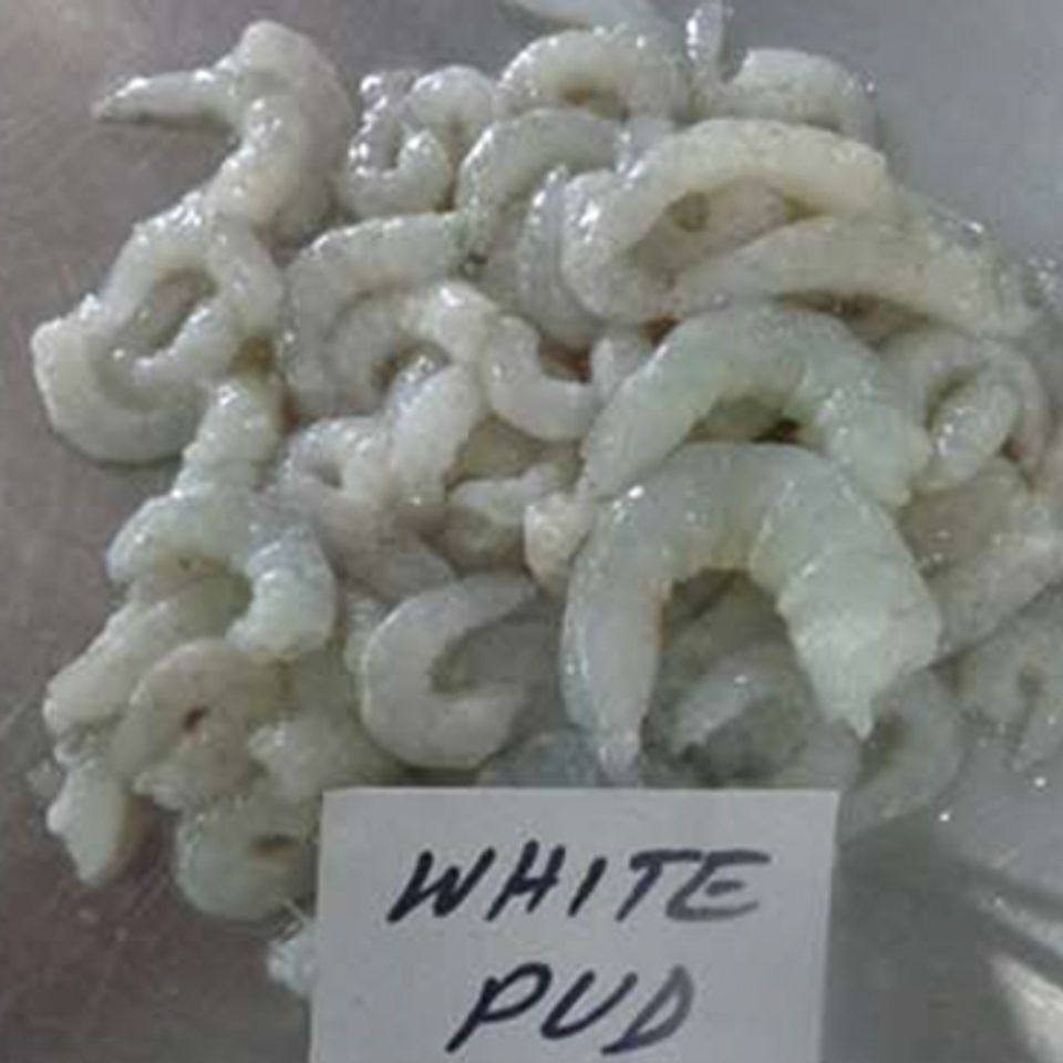 Pud white