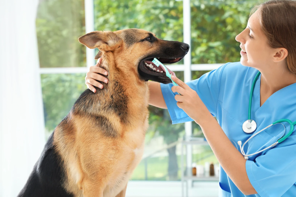 Screen shot 2026 01 14 at 11.18.00 am