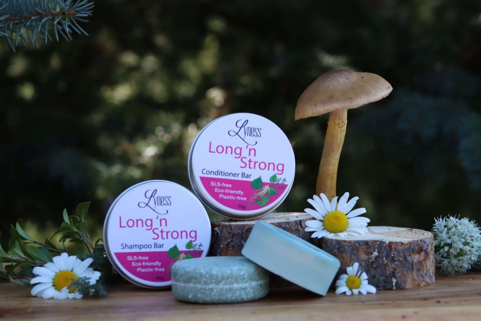 Lyness long n strong mushroom 1