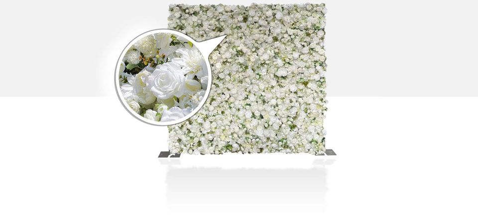White rose 