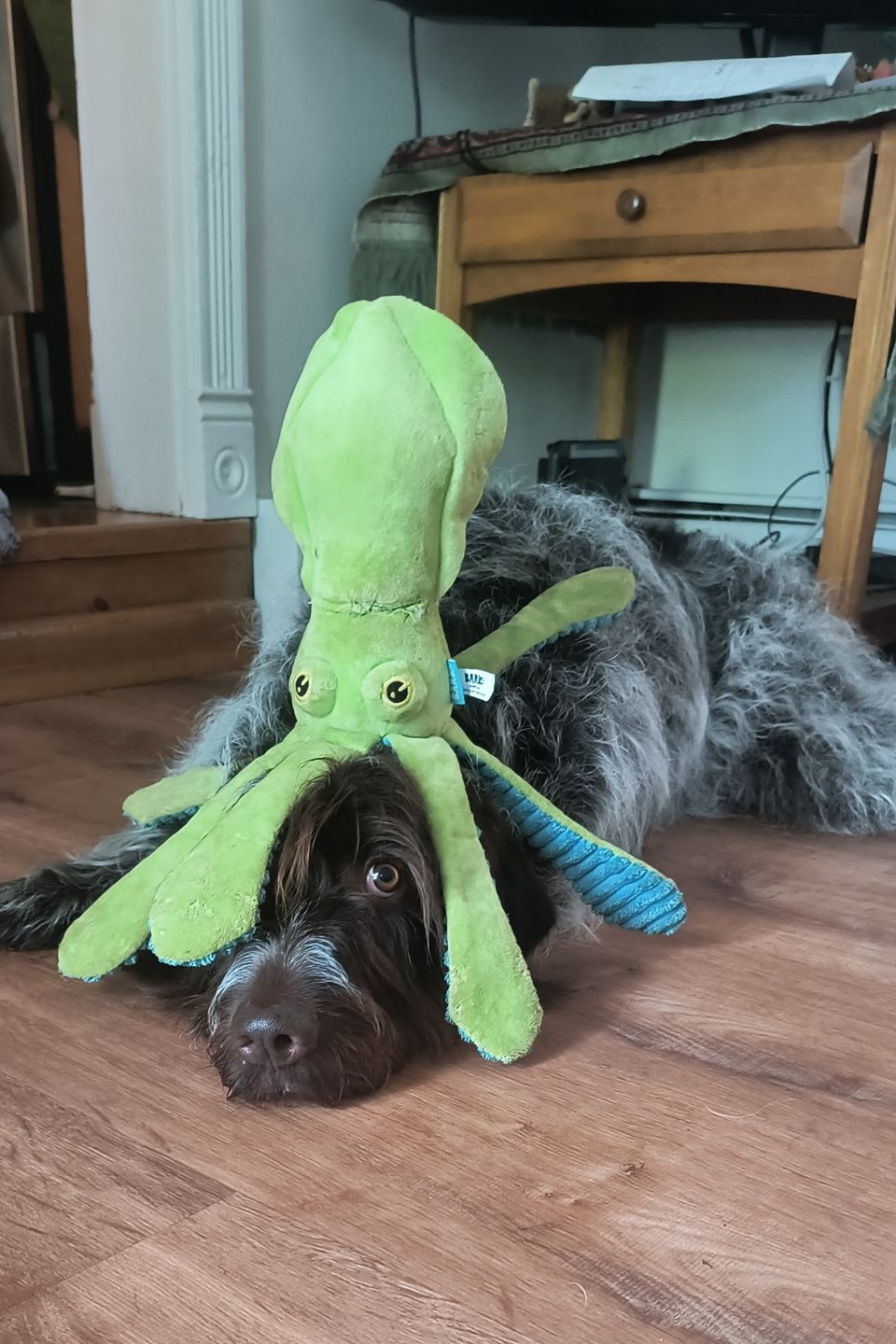 Darwin