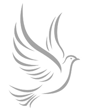Dove logo gray