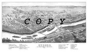 1880 birdseye small original