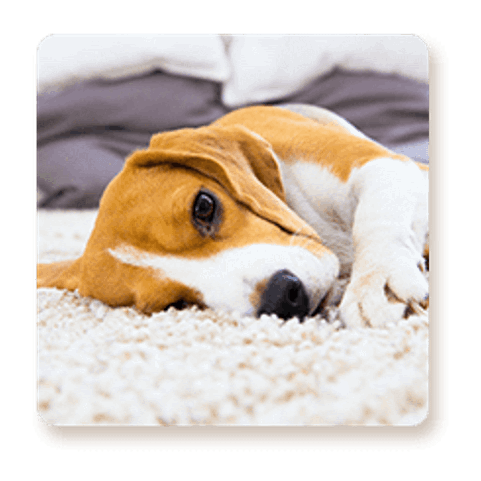 Home benefits icon1