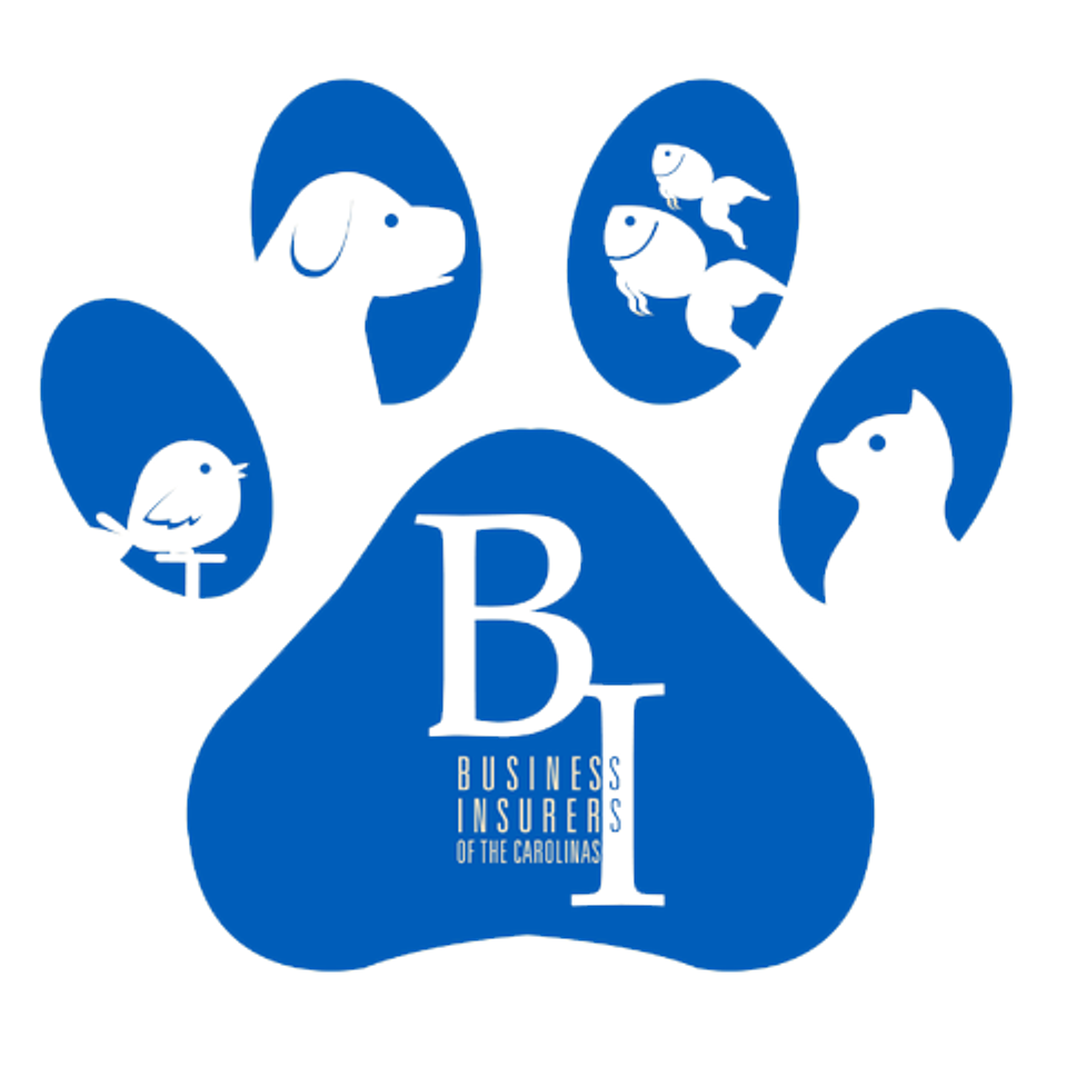 Bi