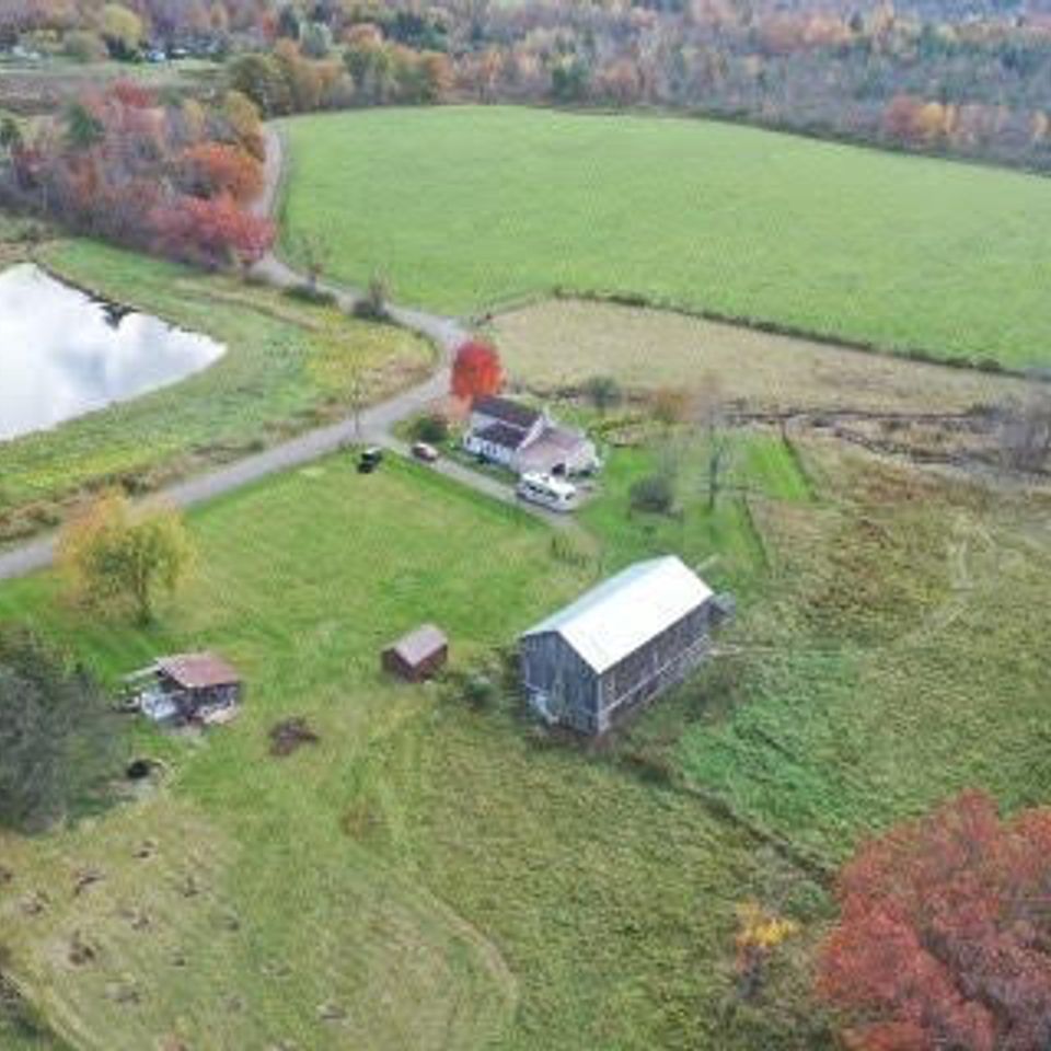 Land and property